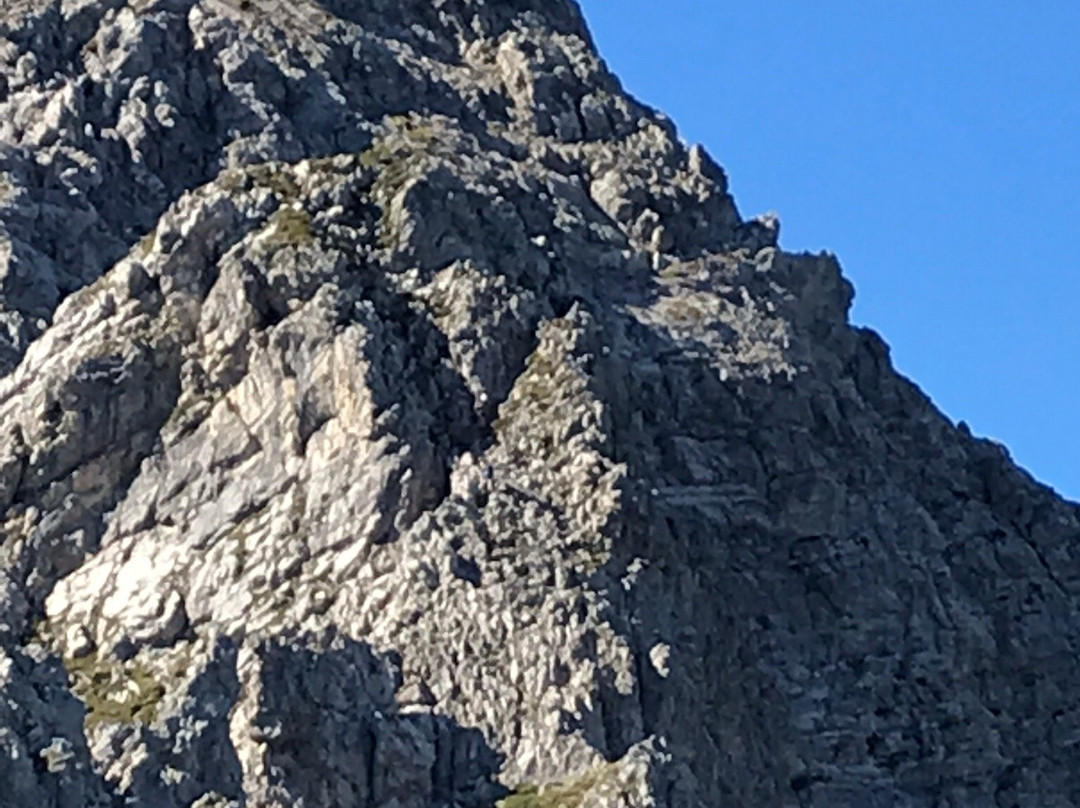 Gasthof Alpenhof主图