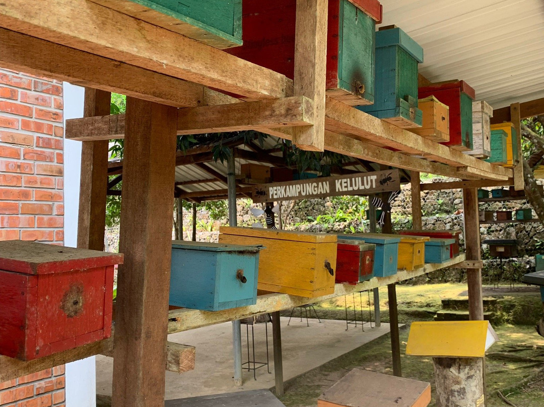 Tasbee Meliponiculture Farm-Tutong必去景点