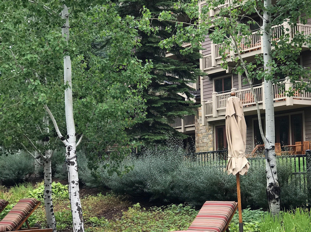 杰克逊霍尔四季度假村酒店主图