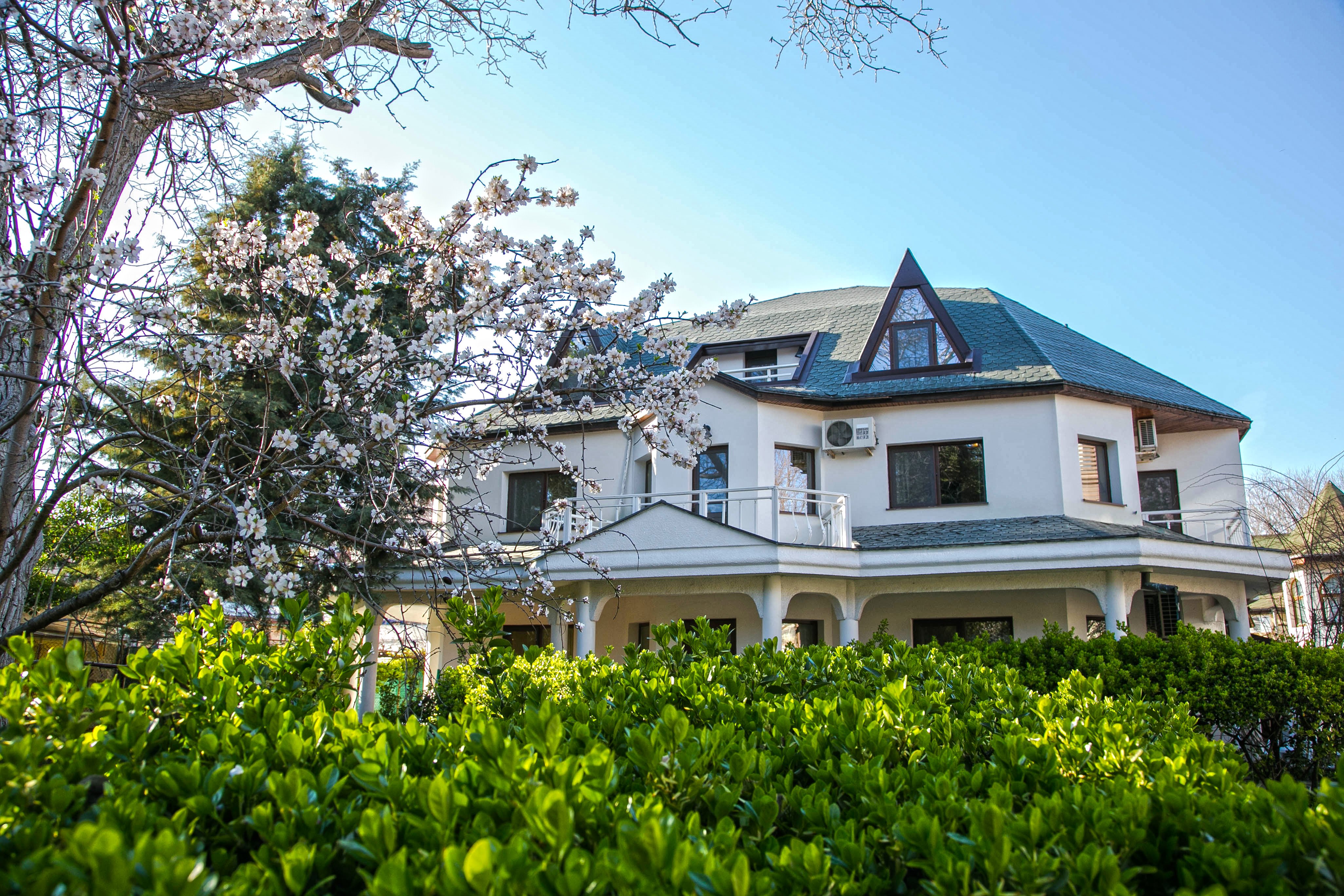 Villa Piero-官方