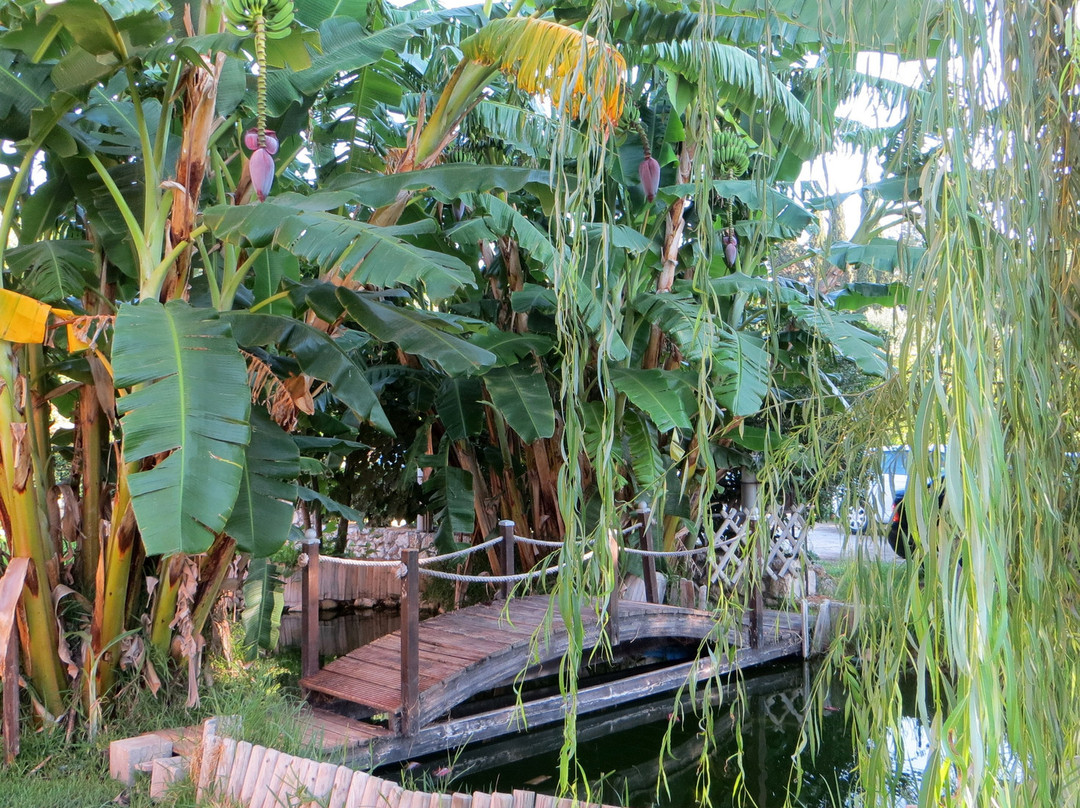 Sunrise Inn Hotel主图