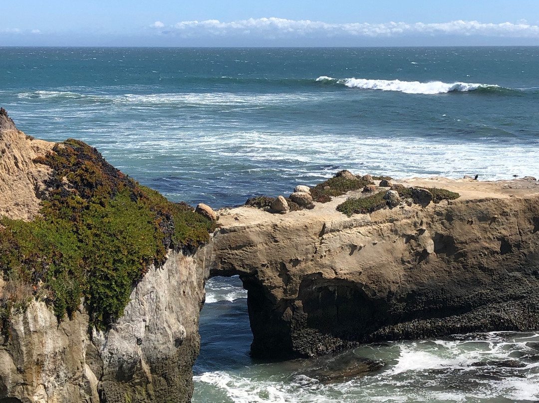 Lighthouse Field State Beach-圣克鲁斯必去景点