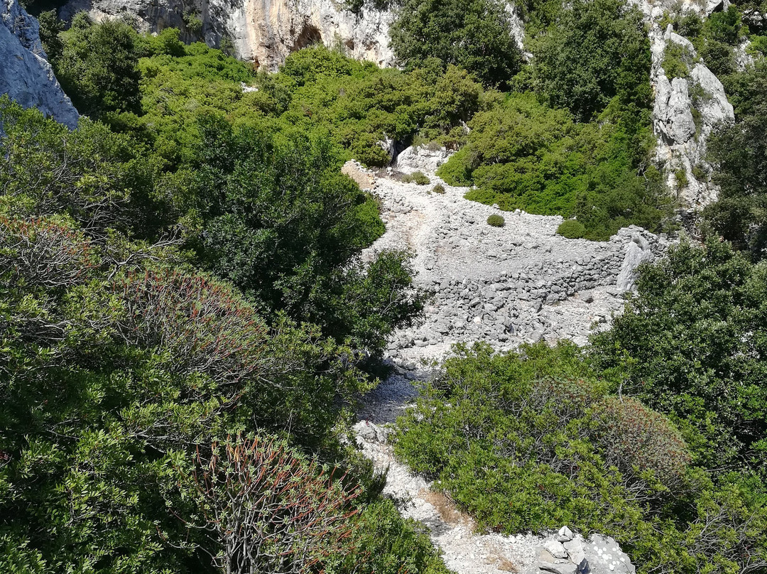Dolmen di Monte Longu-Dorgali必去景点