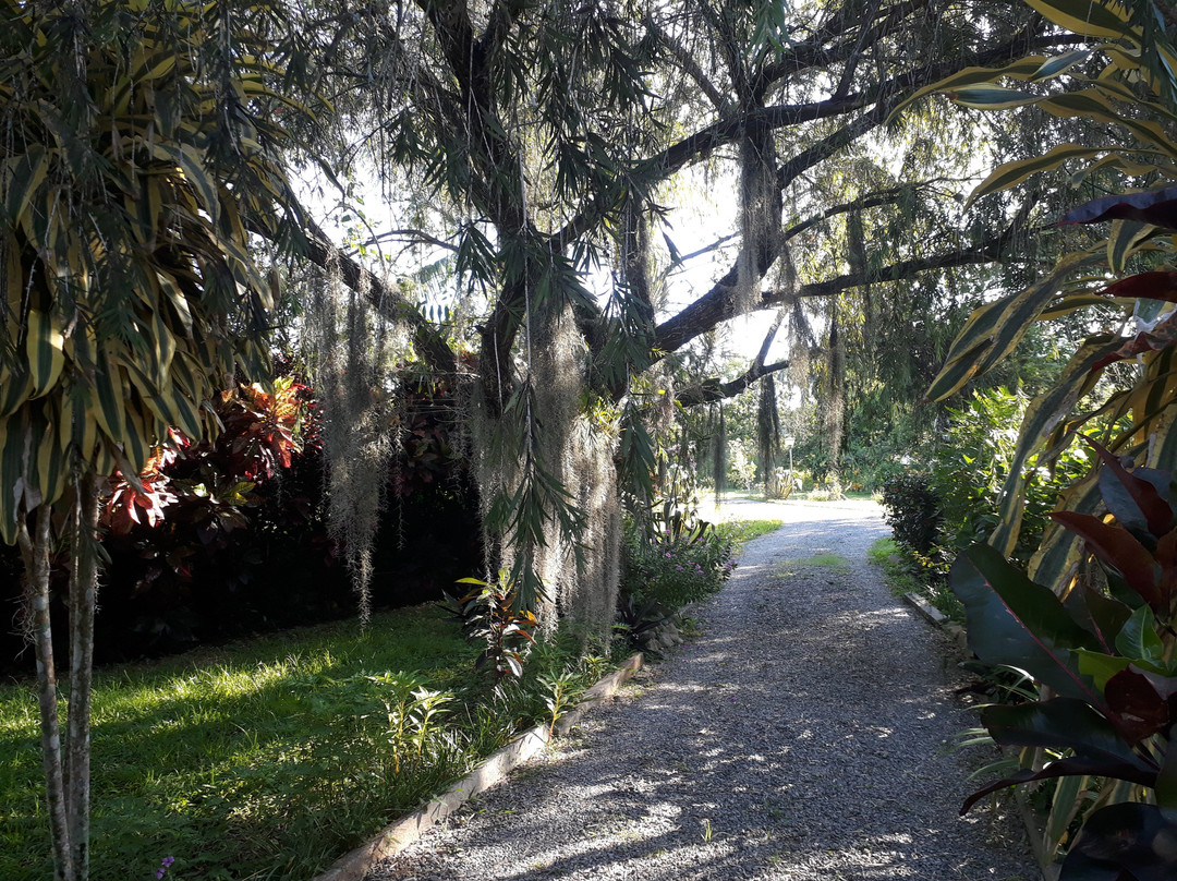 Casa Los Sauces Jorge y Ana Lidia主图