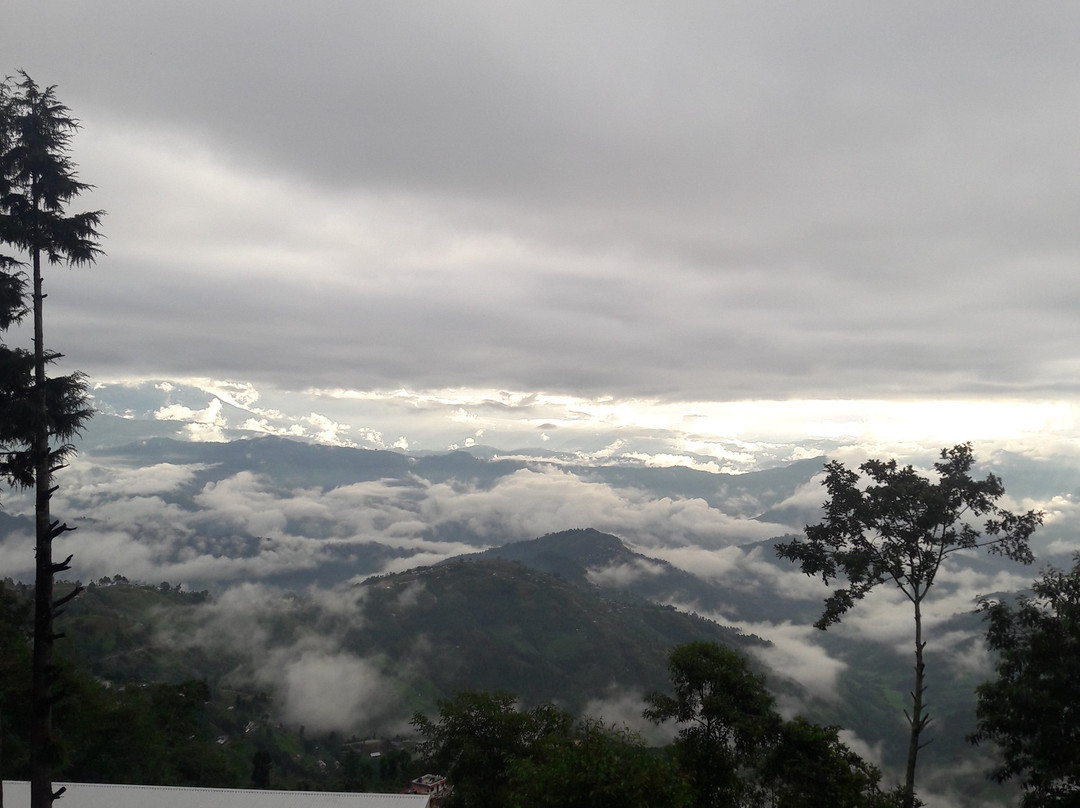 Hotel Greenland主图