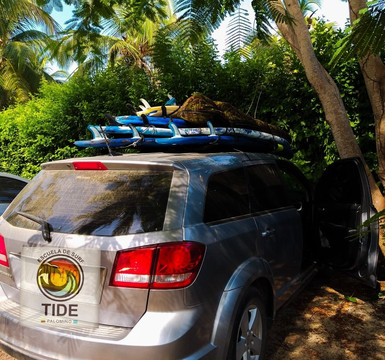 Tide Escuela de Surf-帕洛米诺必去景点