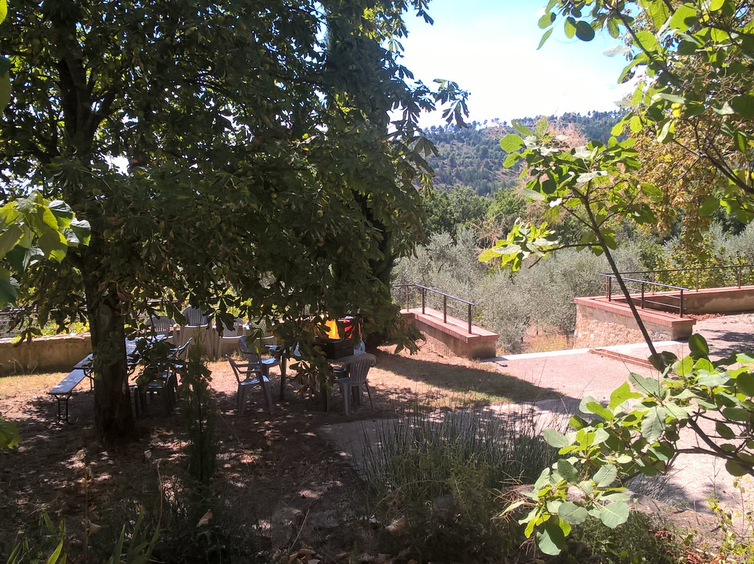 Maison de la Biodiversite景点图片