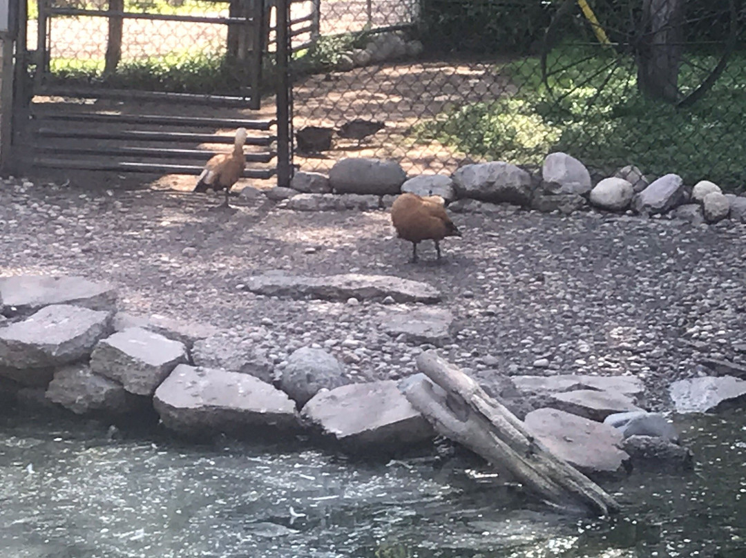 Wildwood Wildlife Park & Nature Center景点图片