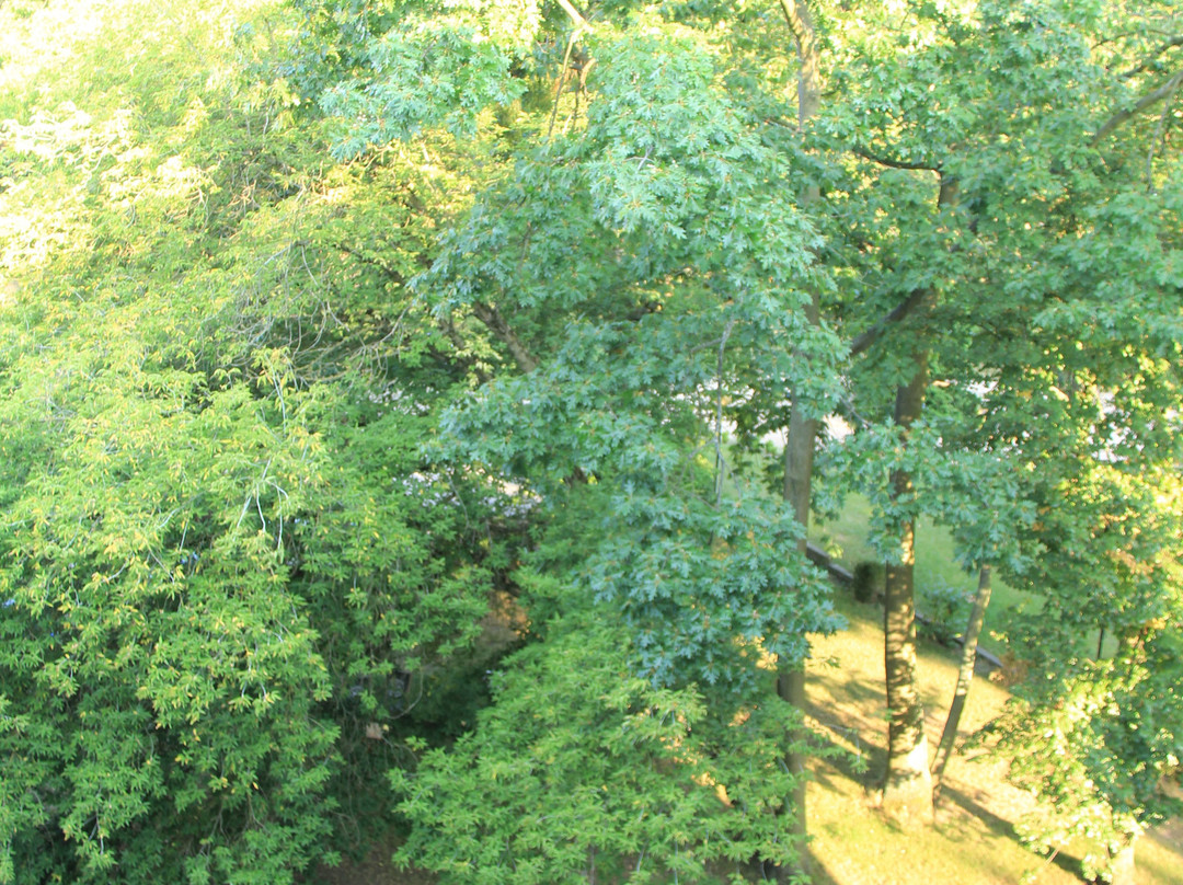 Hotel Matejki 8主图