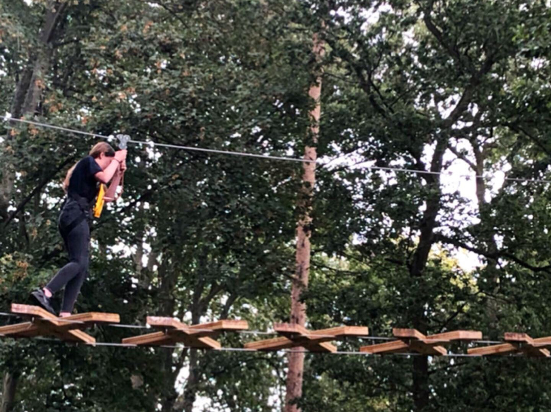Holkham Ropes Course-Holkham必去景点