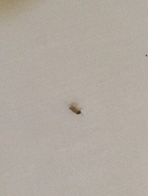 The Garden Hotel主图