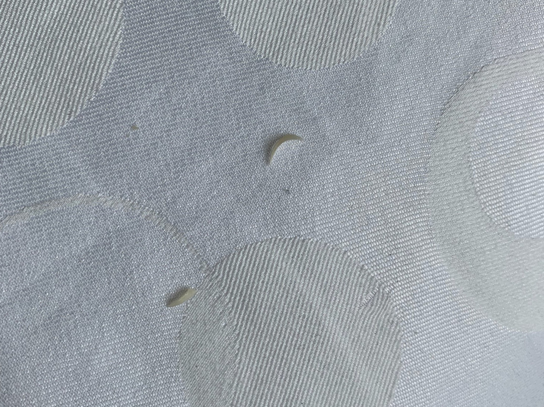 La Quinta Inn by Wyndham Kansas City Lenexa主图