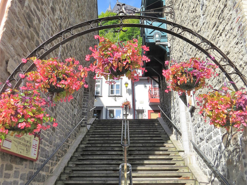 小香普兰街-魁北克市必去景点