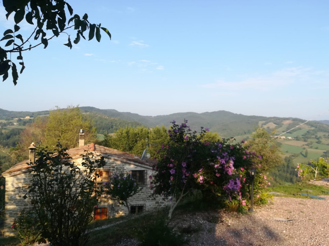 GranNoce Bed and Breakfast主图