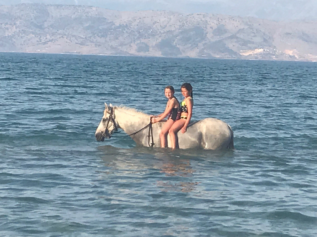 Arena horse riding corfu-Perithia必去景点