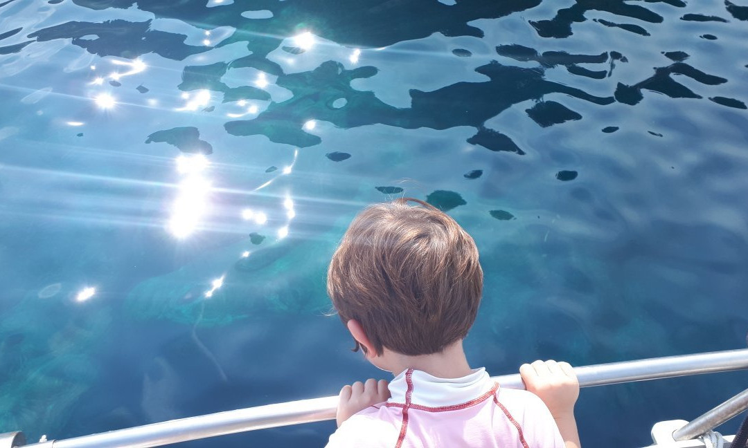 Isola Gallinara Tour e whale watching景点图片
