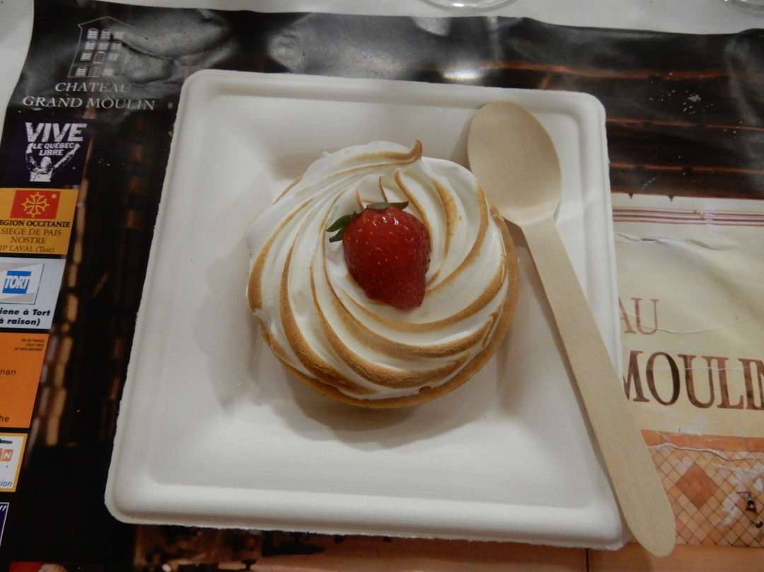 Chateau Grand Moulin景点图片