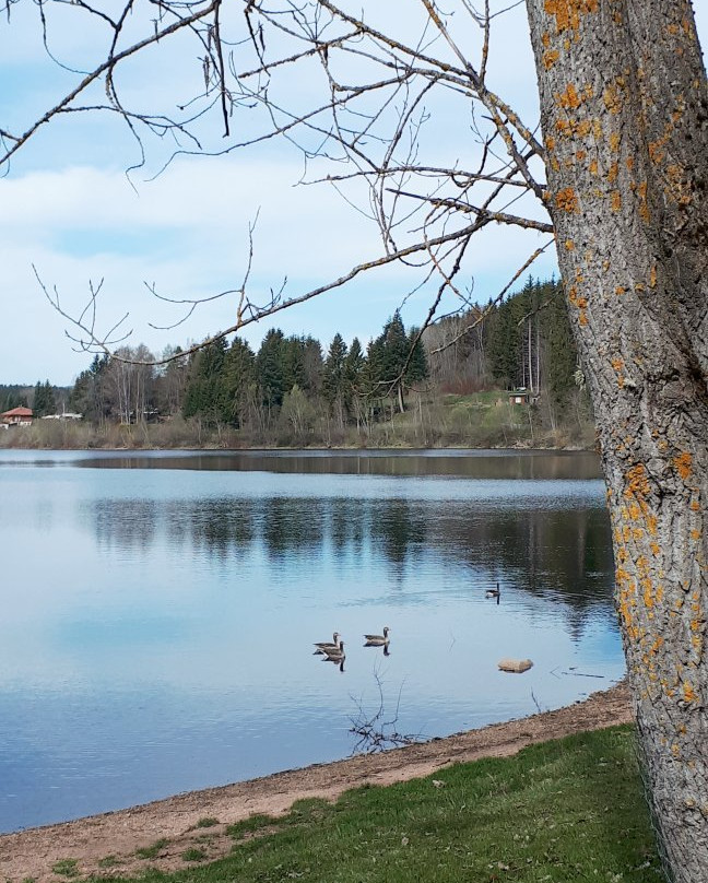 Ferienanlage Kirnbergsee