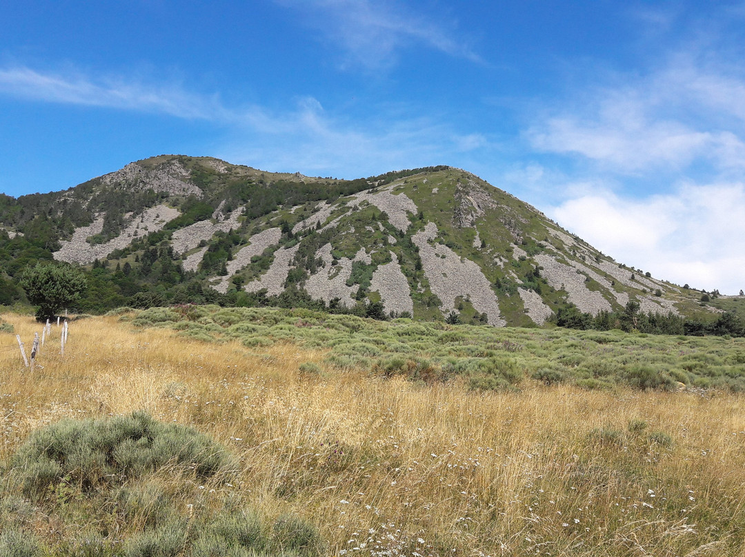 Mont Mézenc景点图片