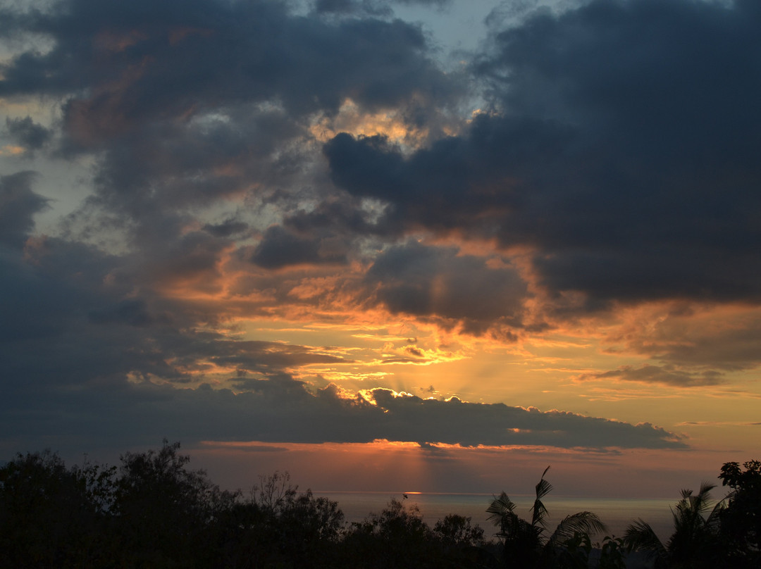 Alamanda Lovina Resort | Yoga Retreat Bali主图