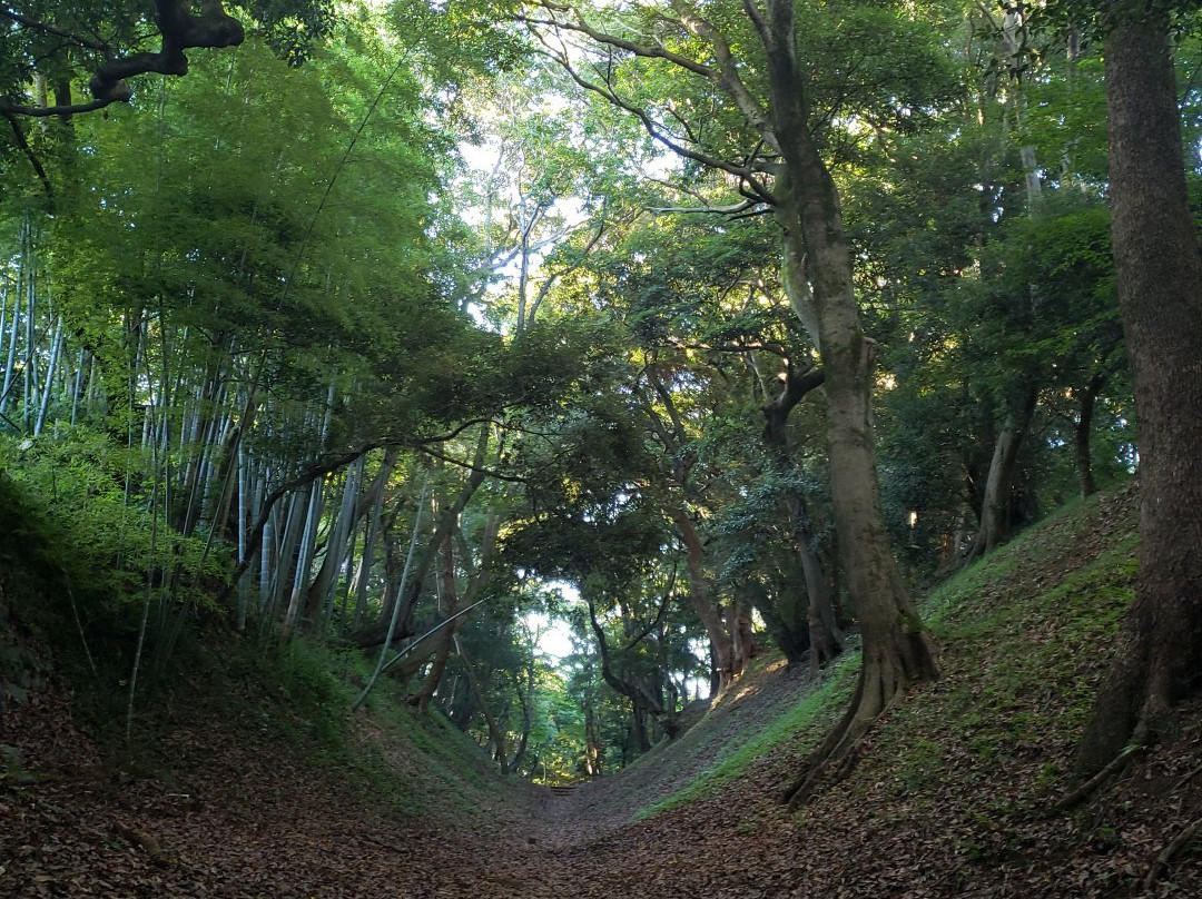 Komine Okanenodai Moat-小田原市必去景点