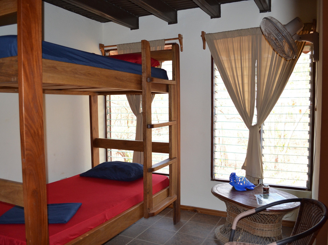 Castillo Divertido主图