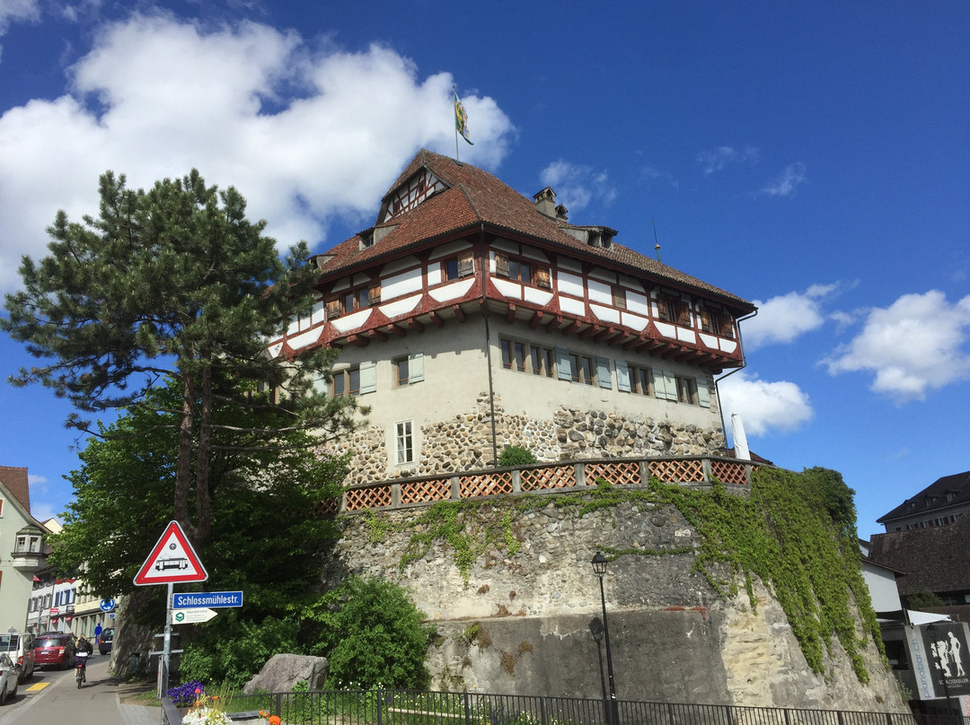 Historisches Museum Thurgau景点图片