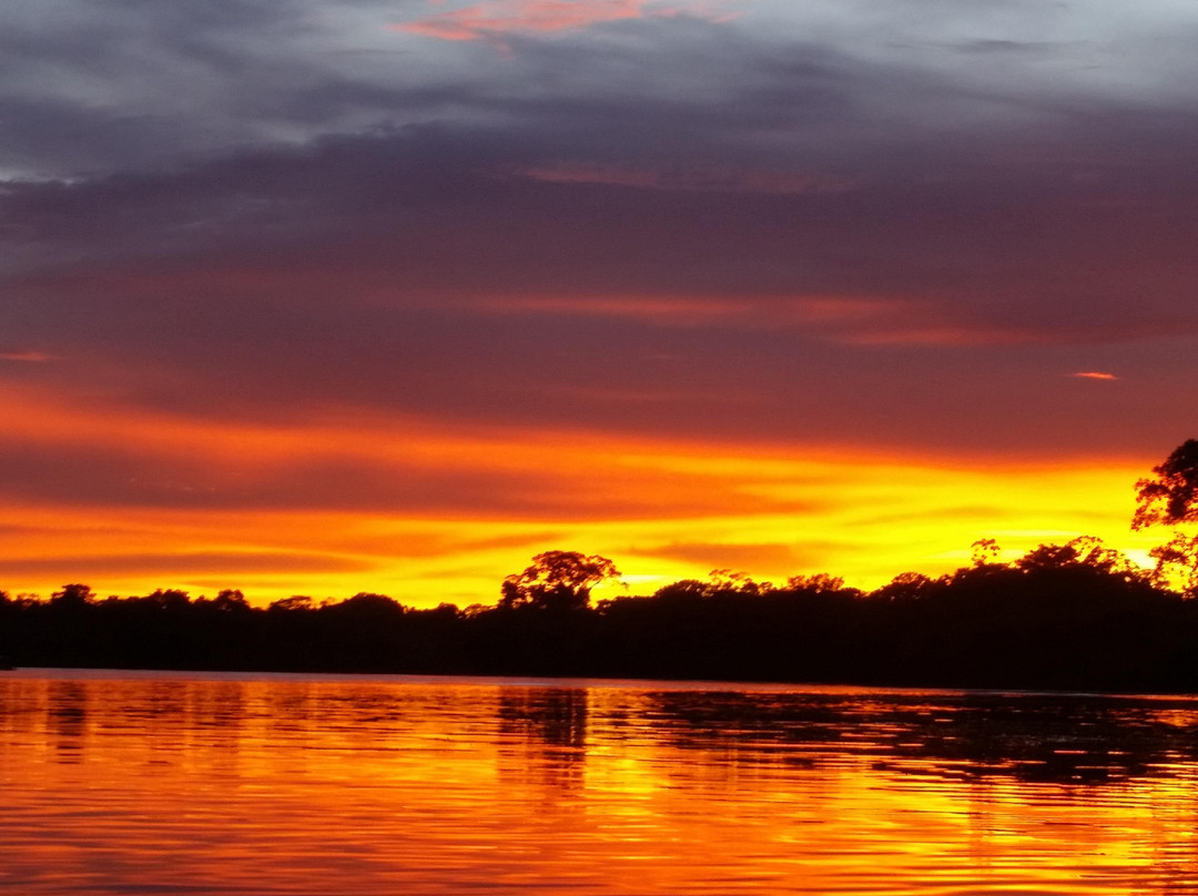 Naineku Amazon Trip Puerto Nariño景点图片