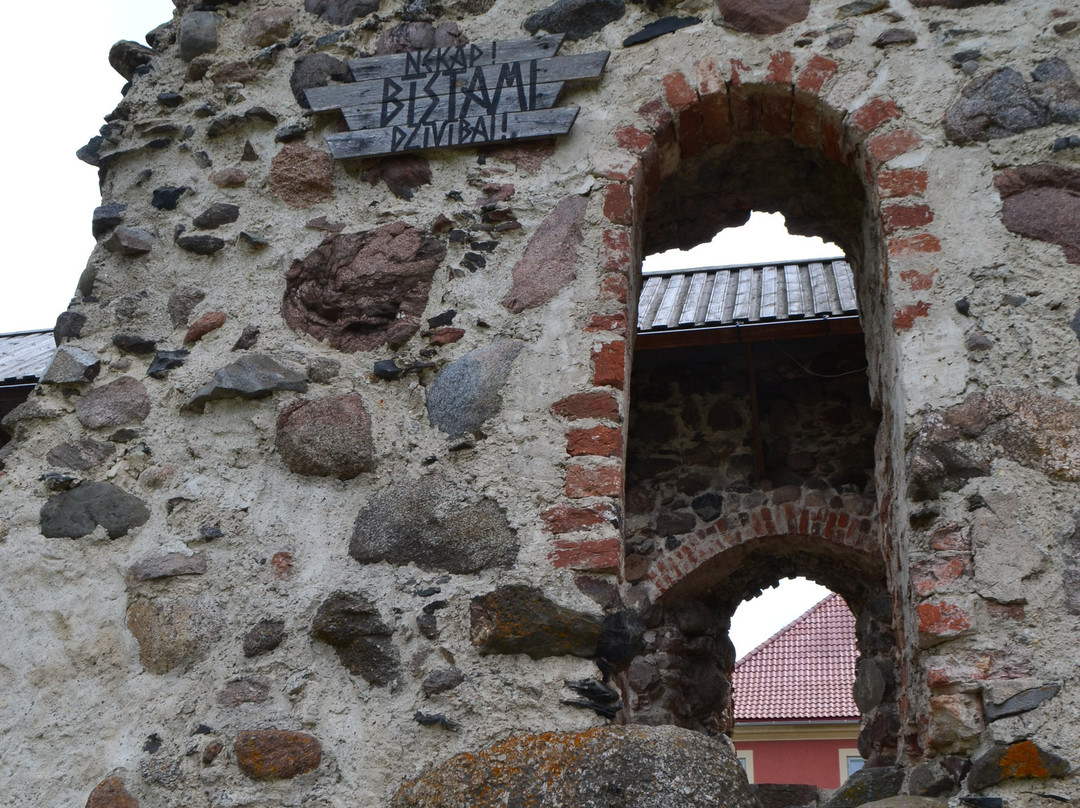 Limbaži Medieval Castle Ruins and Panorama Tower景点图片