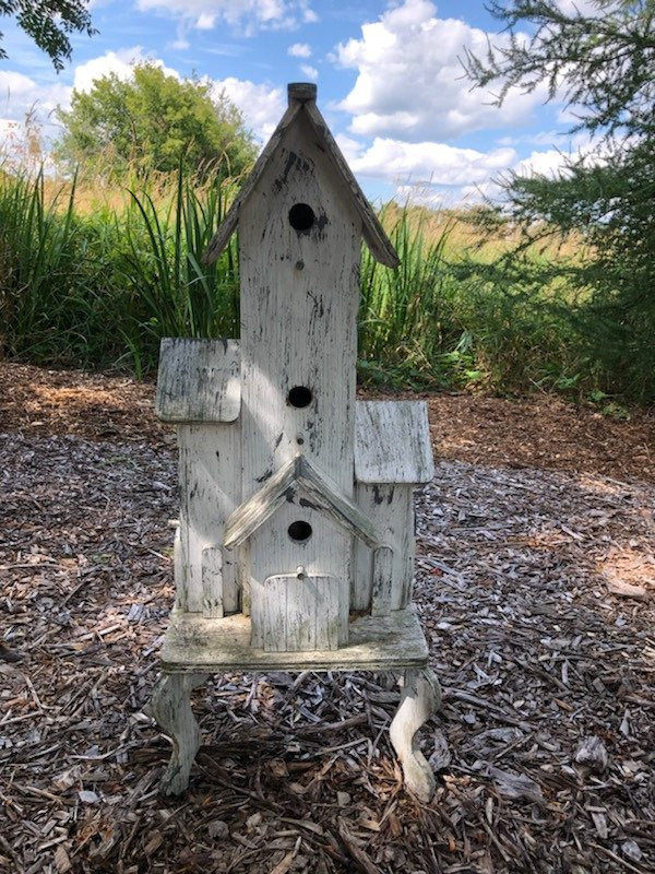 Williamston Inn Motel主图