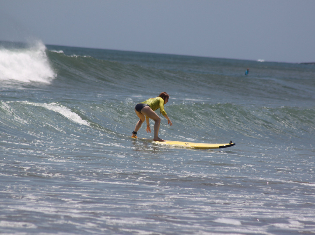 Mojo Surf Adventures-大滩必去景点