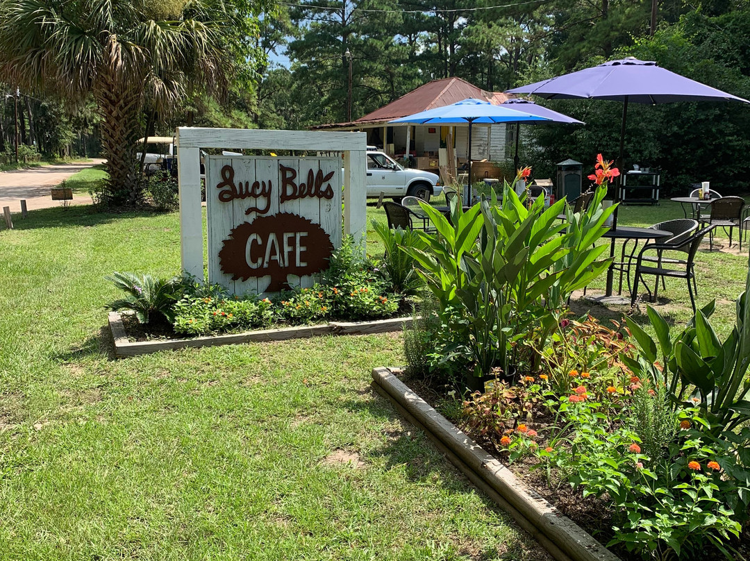 Daufuskie Island Ferry-希尔顿头岛必去景点