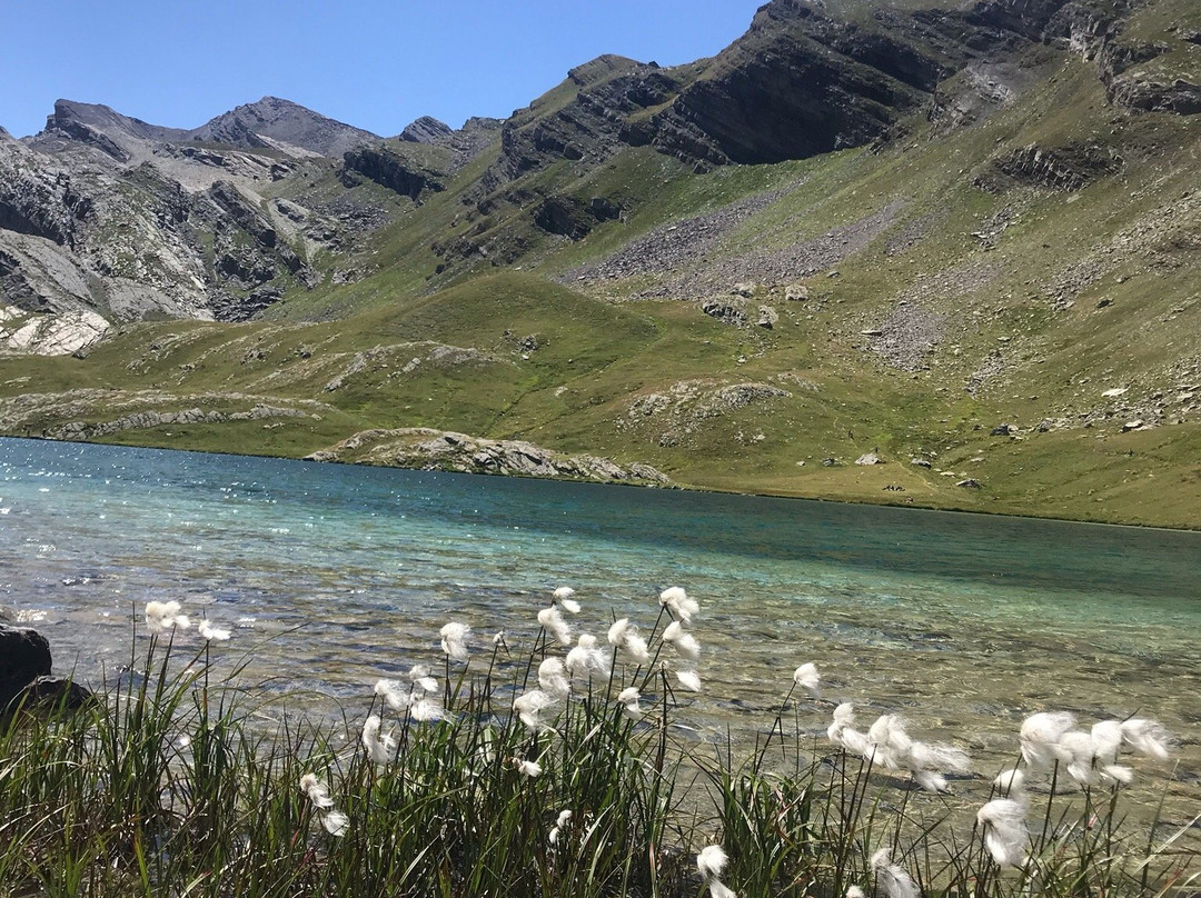 Lac du Lauzanier景点图片