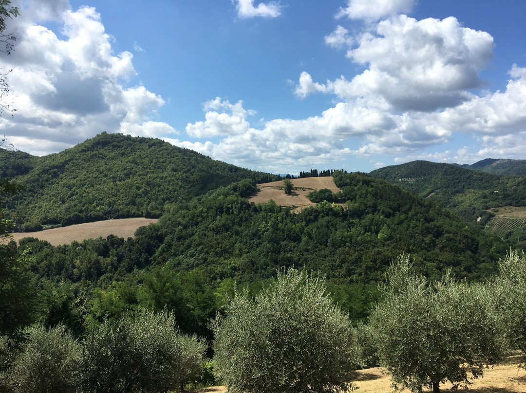 Villa Podere Quartarola主图