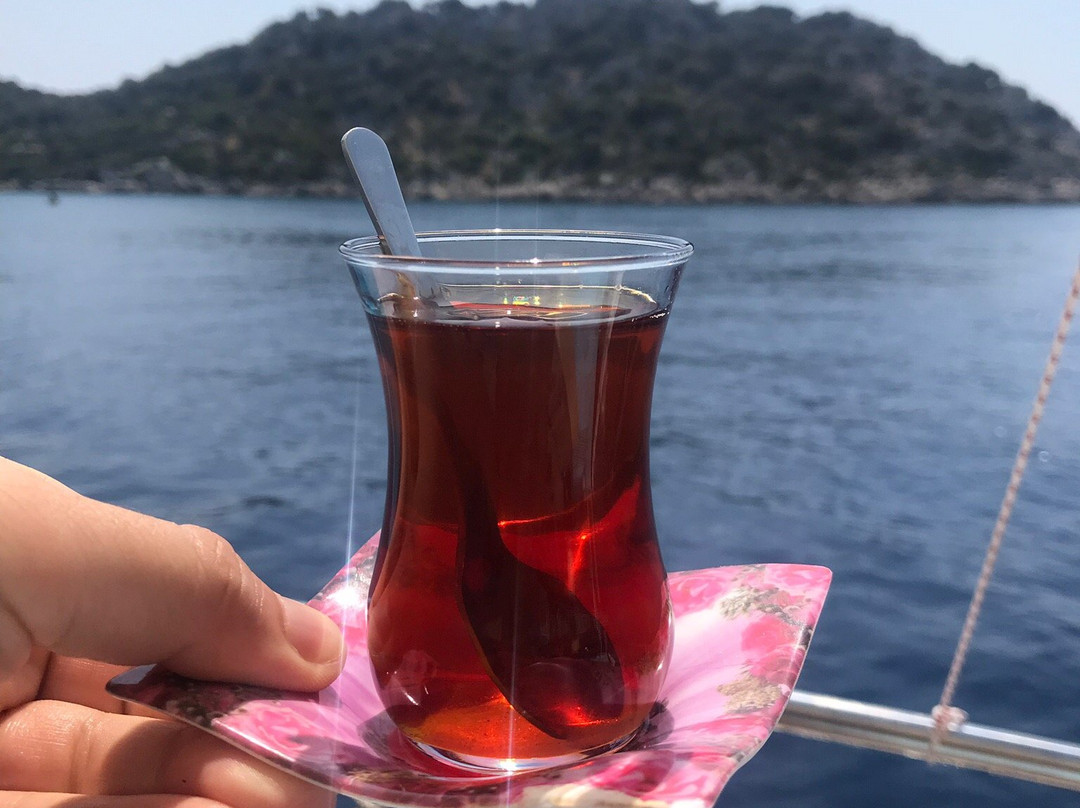 Boynuz agacı pansiyon主图