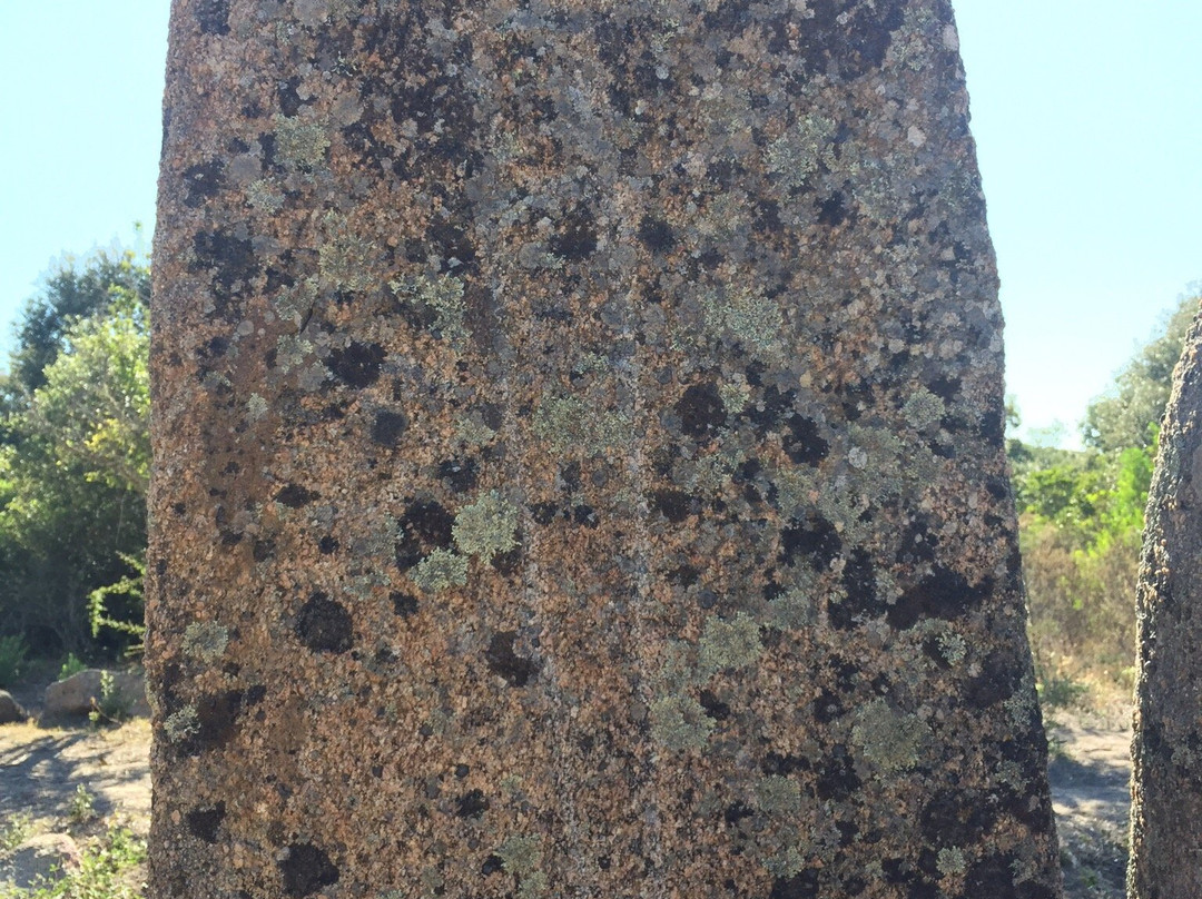 Menhirs Paddaghhu-Sartene必去景点