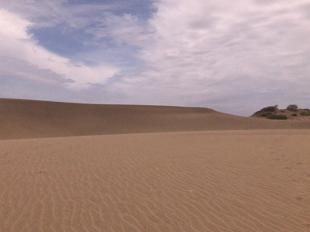 Dunas de Bani-Bani必去景点