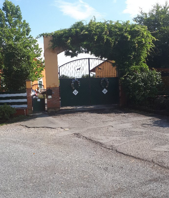 Villa Gineta主图