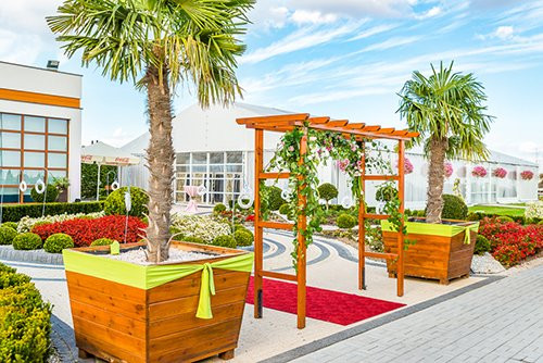 Hotel Kristoff主图