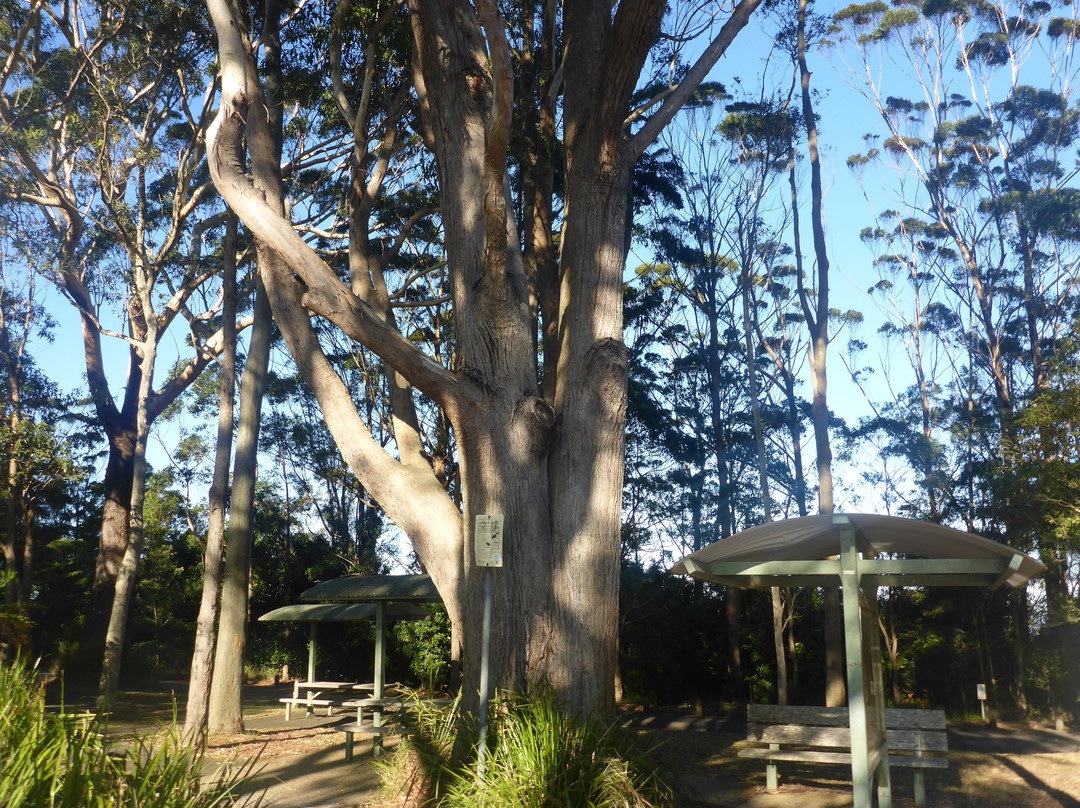 Dooragan National Park-Camden Haven必去景点