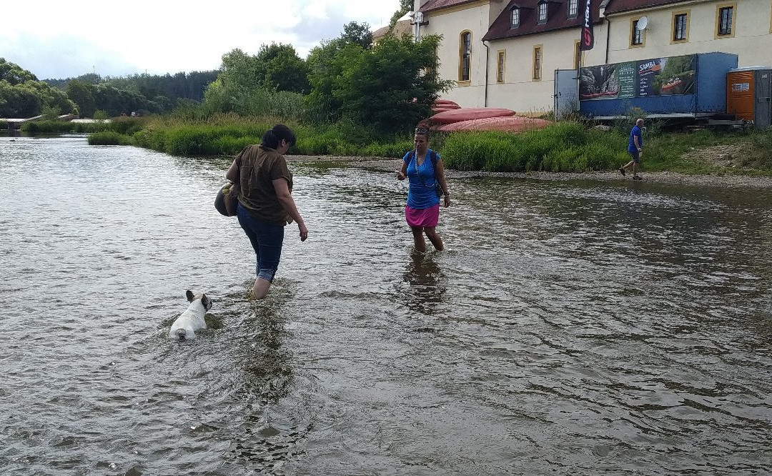 Taboriste U kouzelníka