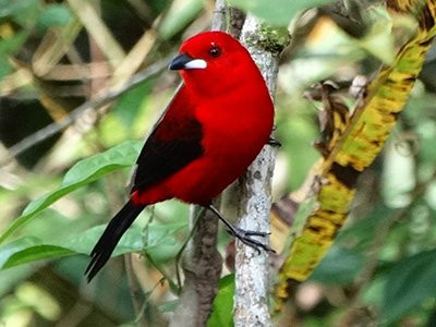 Pousada Bioventura主图