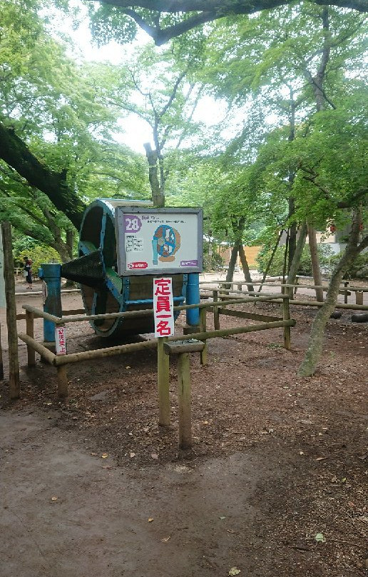 Shimizu Park景点图片