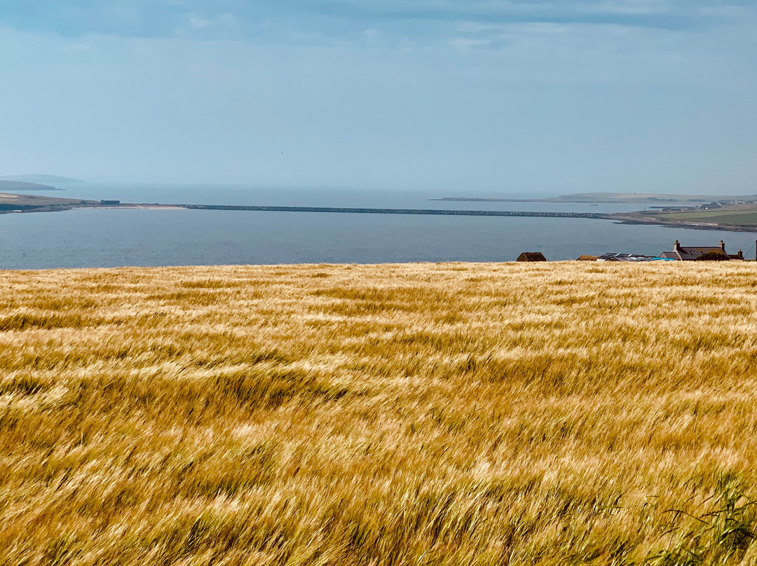 Jp Orkney Tours-Birsay必去景点