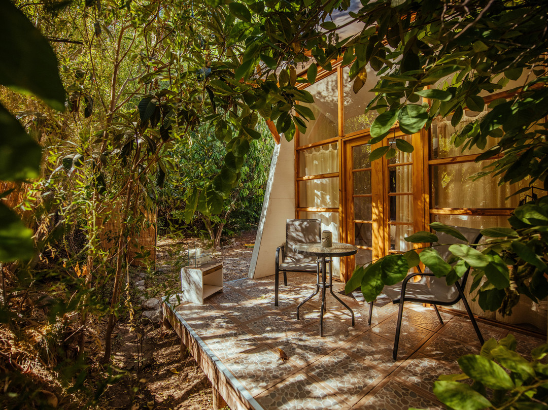 Organica Lodge Spa主图