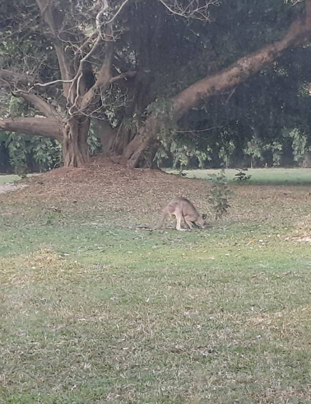 Kolkata Zoo & Zoological Garden景点图片