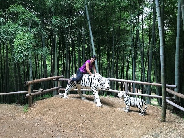 Maengjongjuk Theme Park-巨济市必去景点