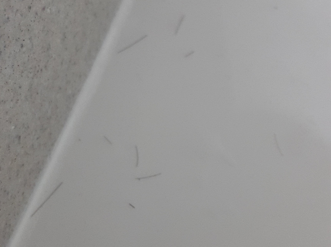 Hotel Alexander主图