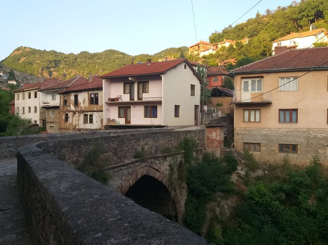 Stone town of Kuklica景点图片