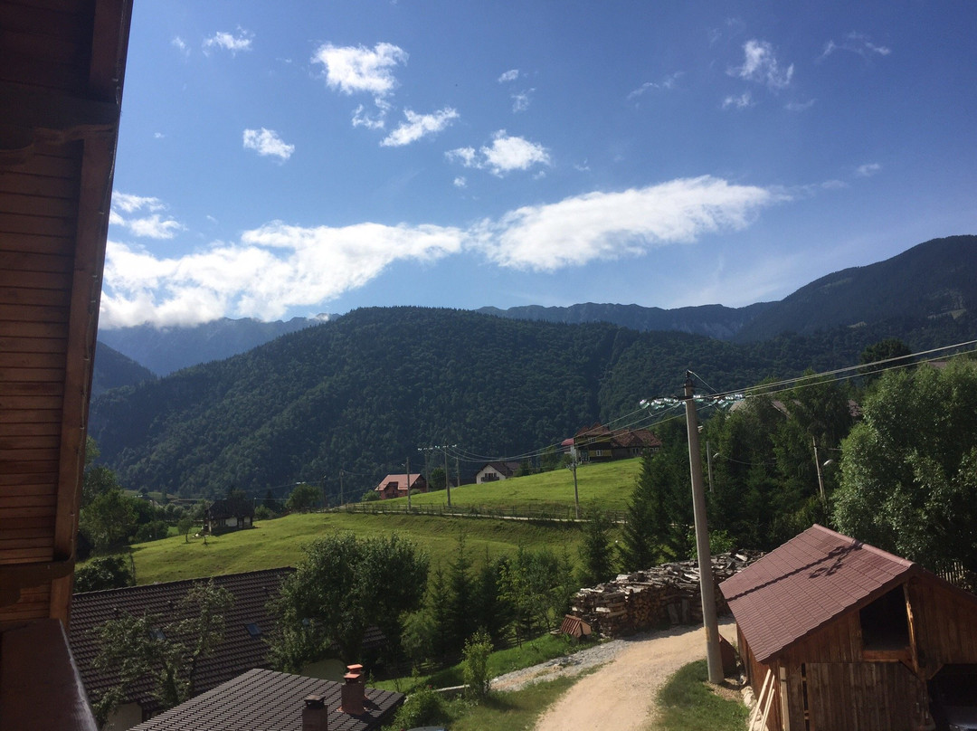 Pension Villa Hermani Magura / Bran主图
